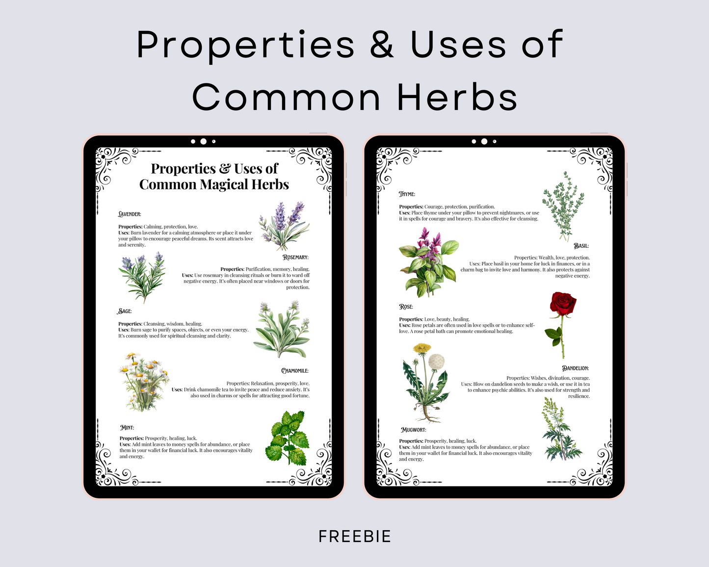 FREE Properties & Uses of Common Magical Herbs