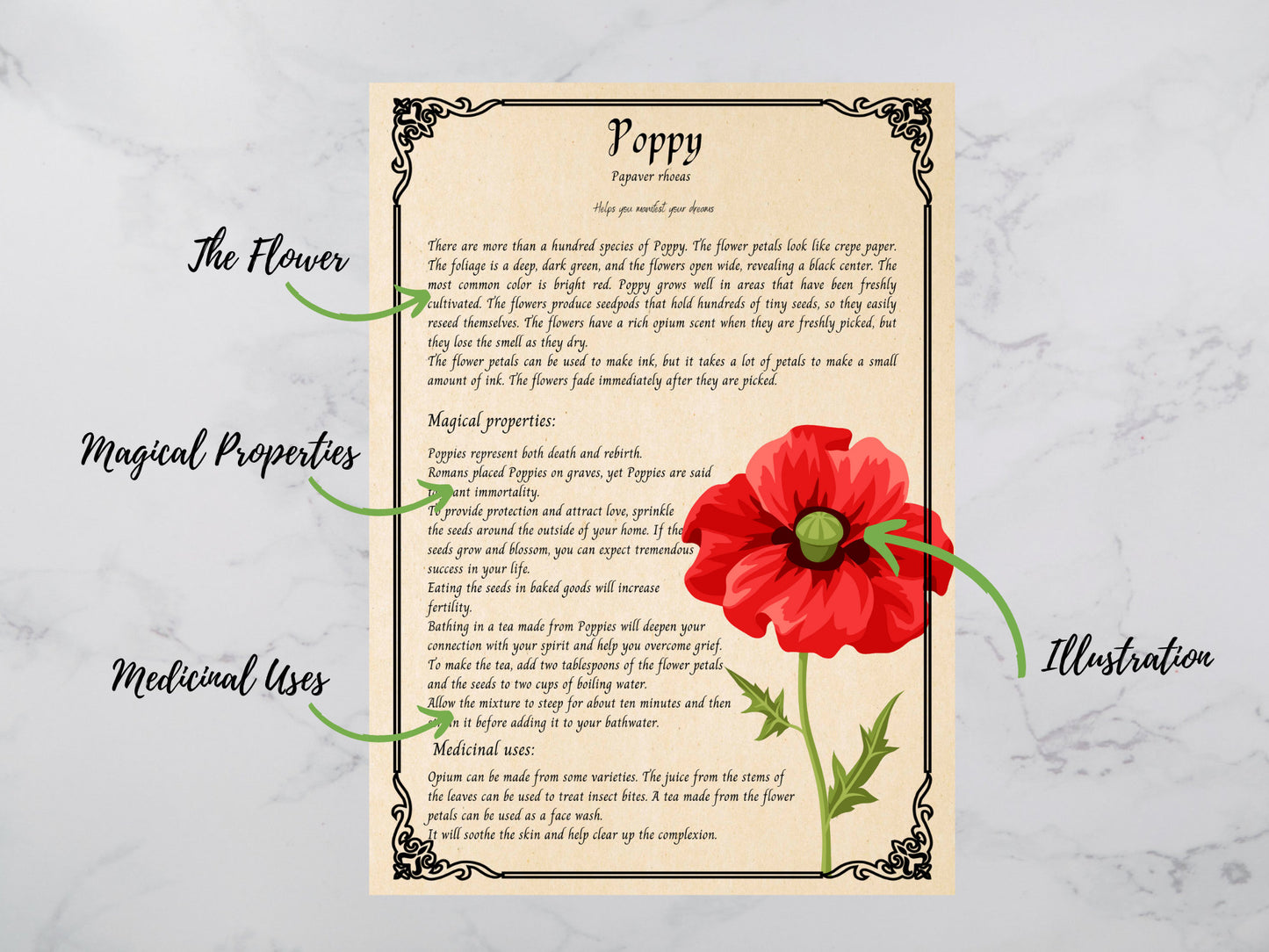 31 pages Mystical flowers Printable Grimoire Pages - Herbalism - Green Witch -Book of Shadows - herb journal