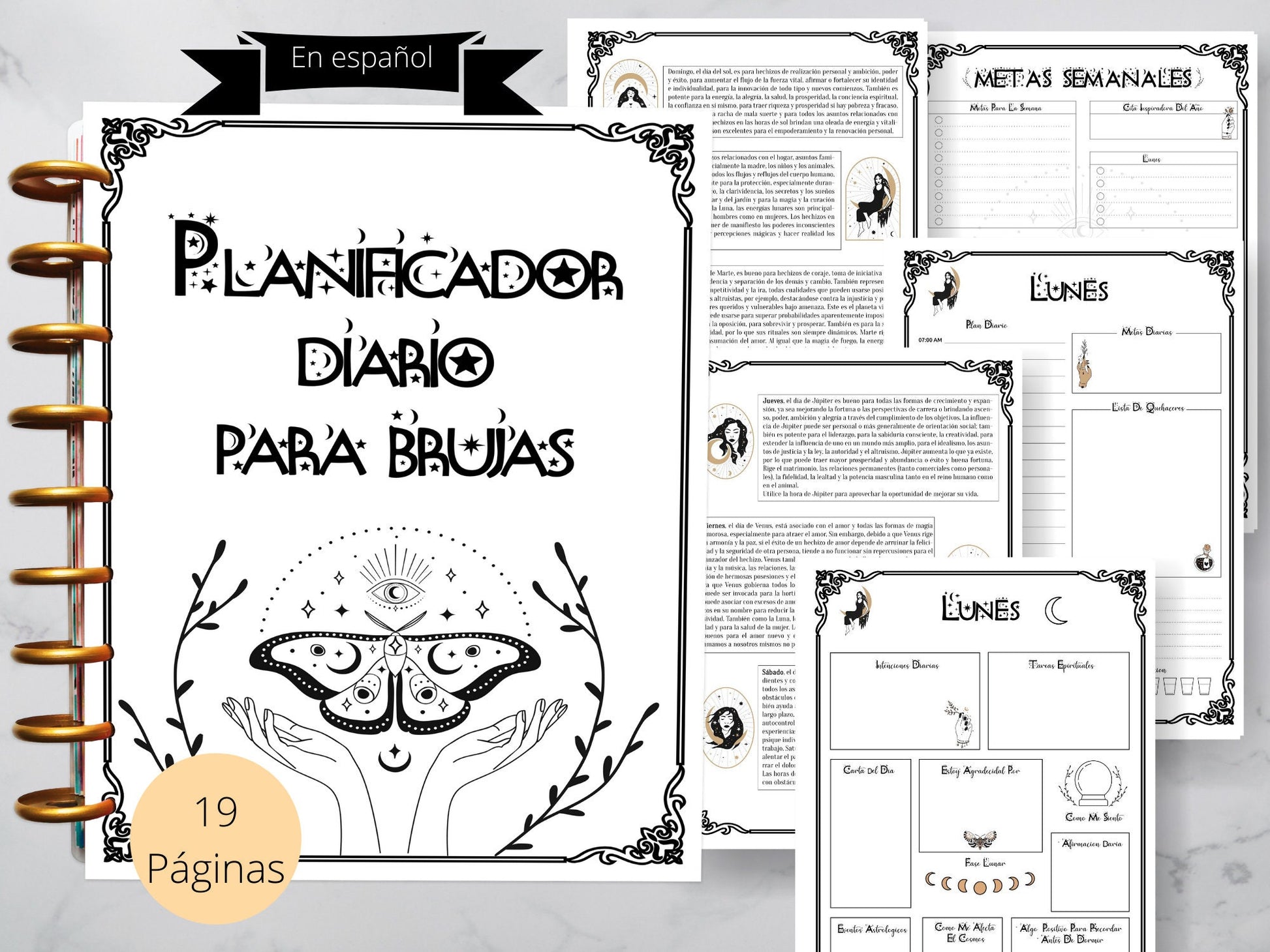 EN ESPAÑOL. Planificador diario de brujas.