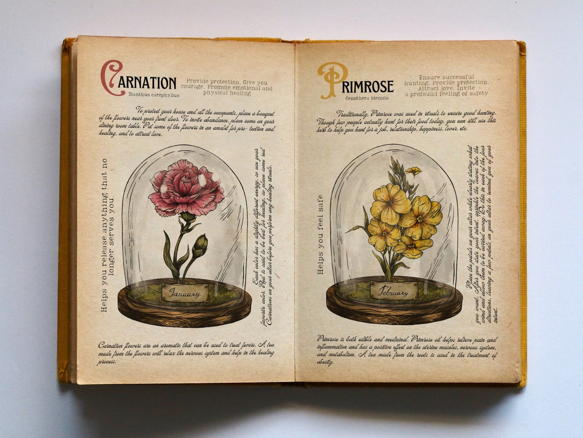 Birth Month Flowers, Grimoire pages, Instant download, printable grimoire pages