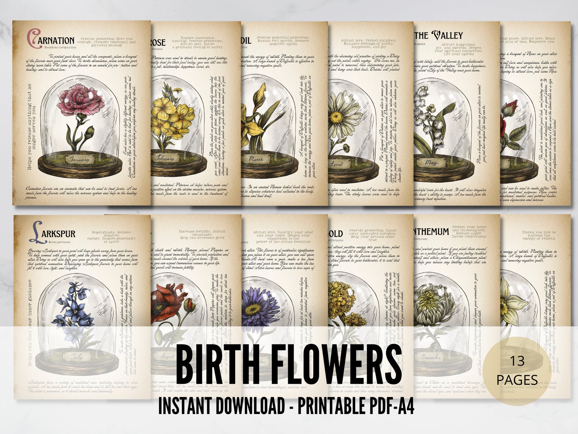 Birth Month Flowers, Grimoire pages, Instant download, printable grimoire pages