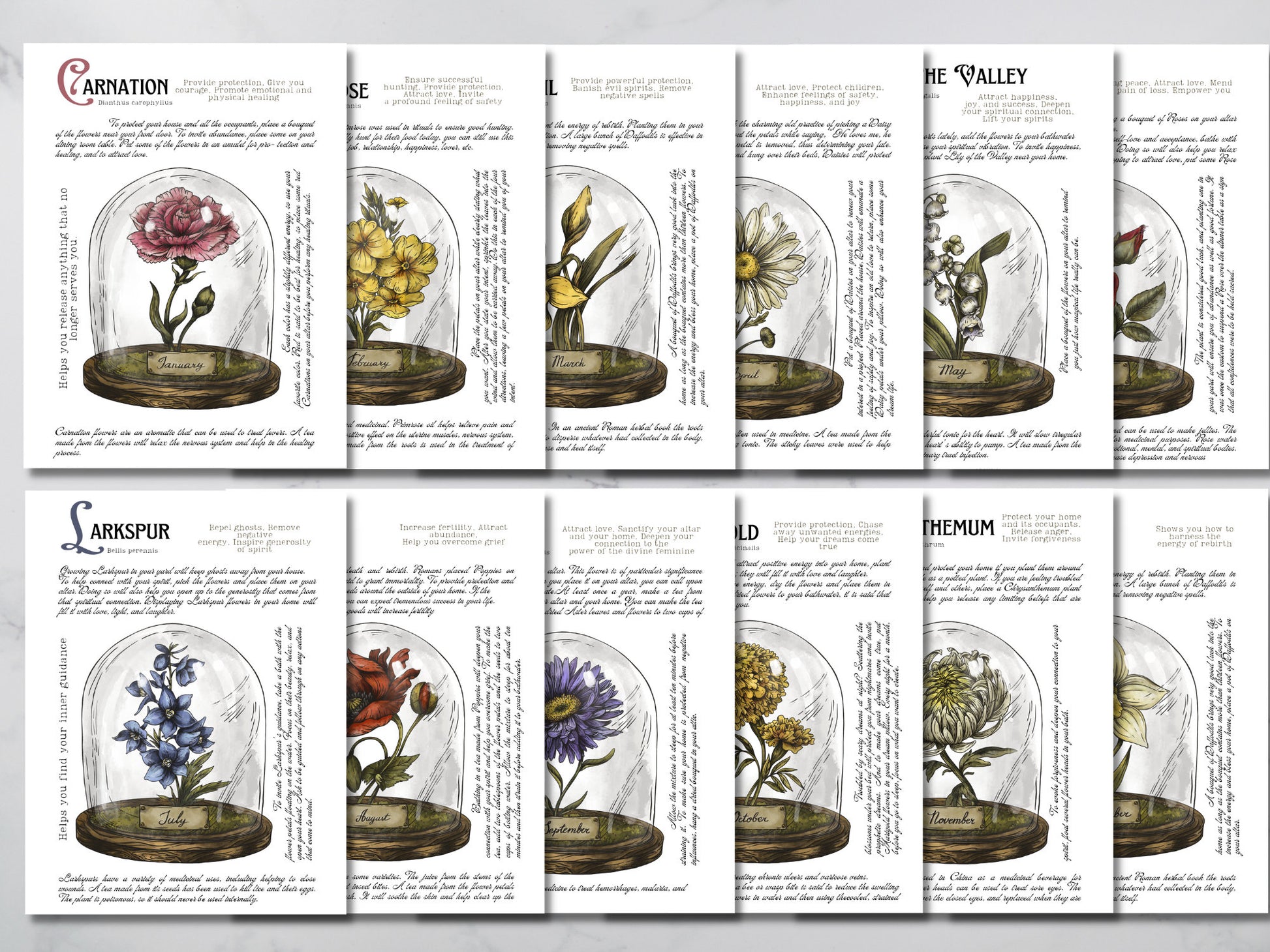 Birth Month Flowers, Grimoire pages, Instant download, printable grimoire pages
