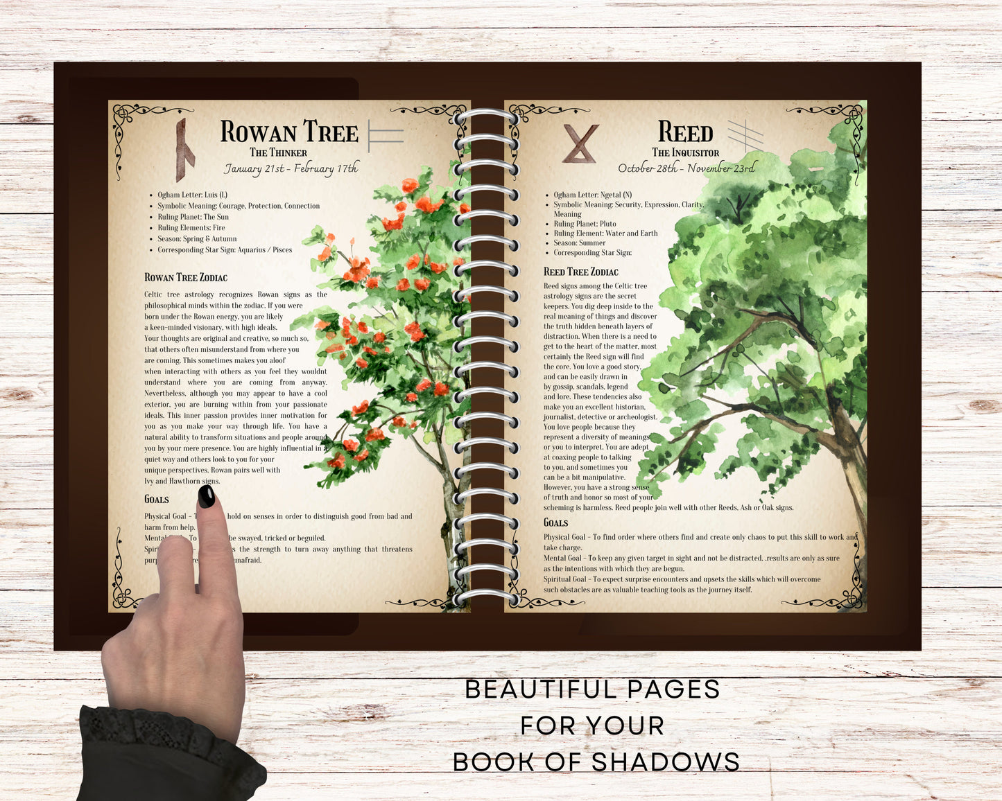 The Celtic Zodiac Tree signs. Celtic Tree Astrology. Beautiful pages for your Book Of Shadows. Instant download