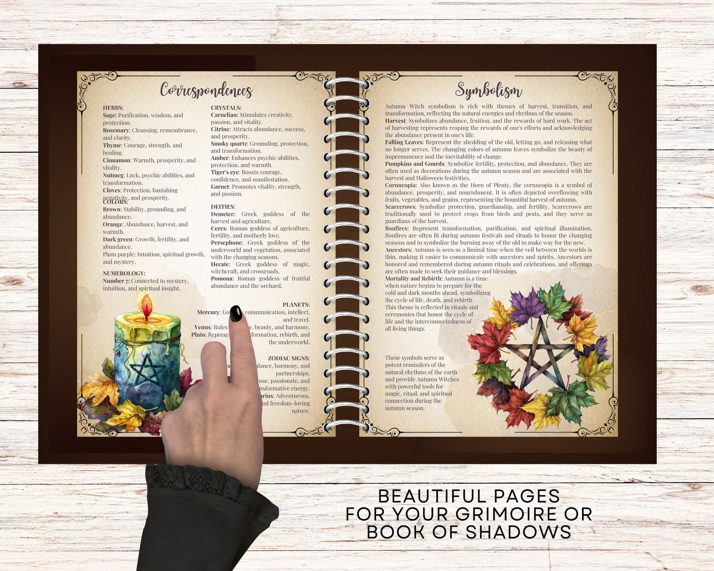Autumn Witch. Season of the Witch. Beautiful pages for your Grimoire or Book Of Shadows. Printable.