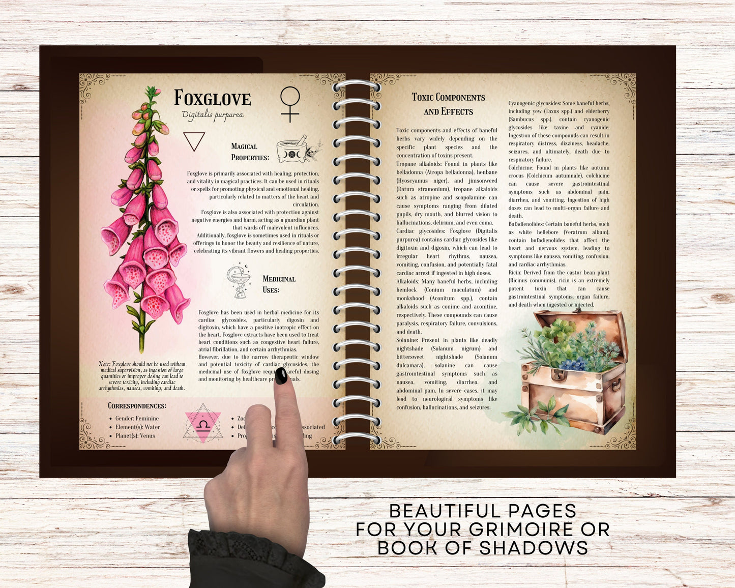 The Ultimate Baneful Herbs Collection- Grimoire Printable, Book of Shadows Printable, Poisonous Herbs