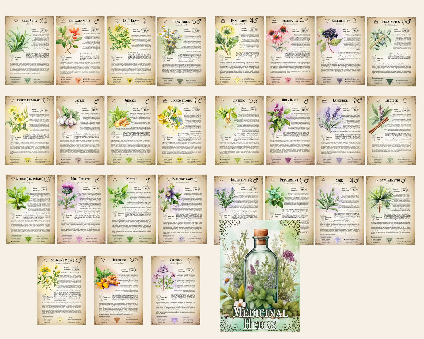 The Ultimate Medicinal Herbs Collection- Grimoire Printable, Book of Shadows Printable