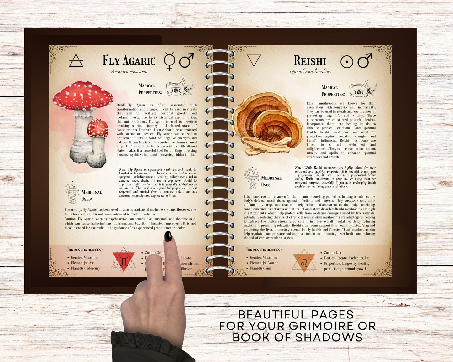 The ultimate guide of Mushrooms. 30 pages. Printable