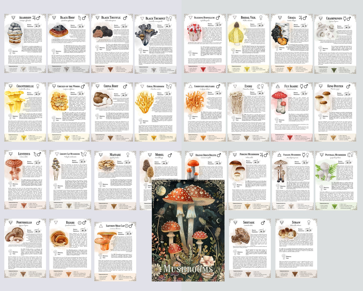 The ultimate guide of Mushrooms. 30 pages. Printable