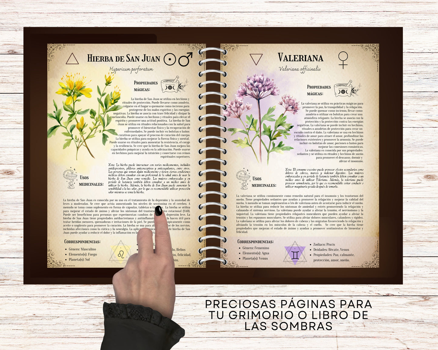 ESPAÑOL. La colección definitiva de hierbas medicinales: Grimorio imprimible, Libro de las sombras imprimible