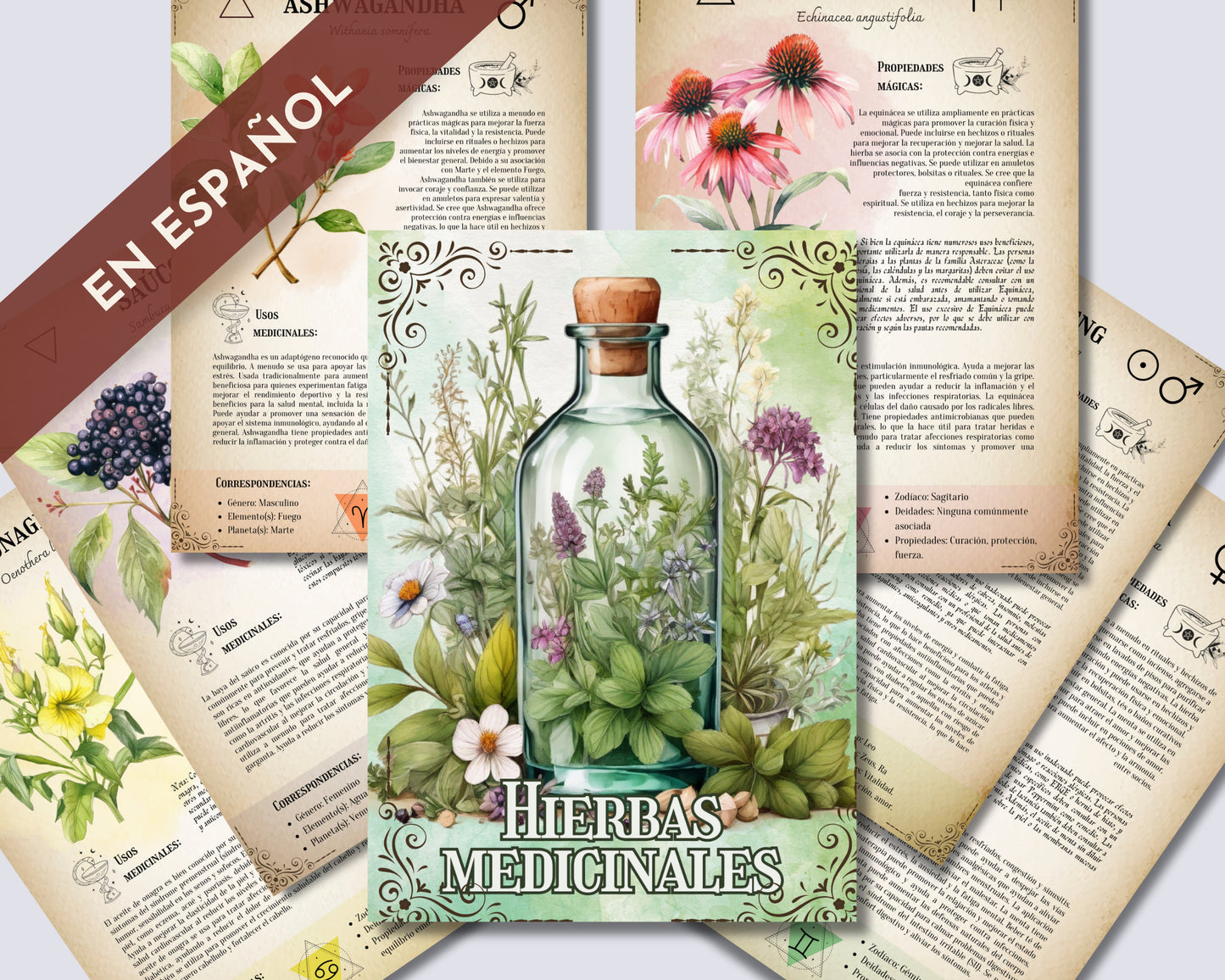 ESPAÑOL. La colección definitiva de hierbas medicinales: Grimorio imprimible, Libro de las sombras imprimible