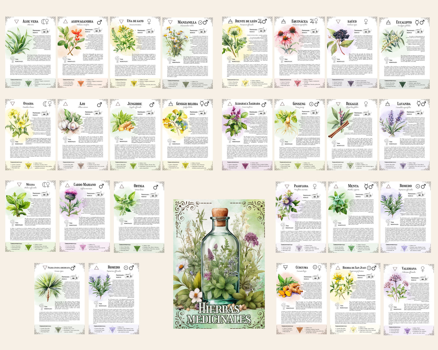 ESPAÑOL. La colección definitiva de hierbas medicinales: Grimorio imprimible, Libro de las sombras imprimible