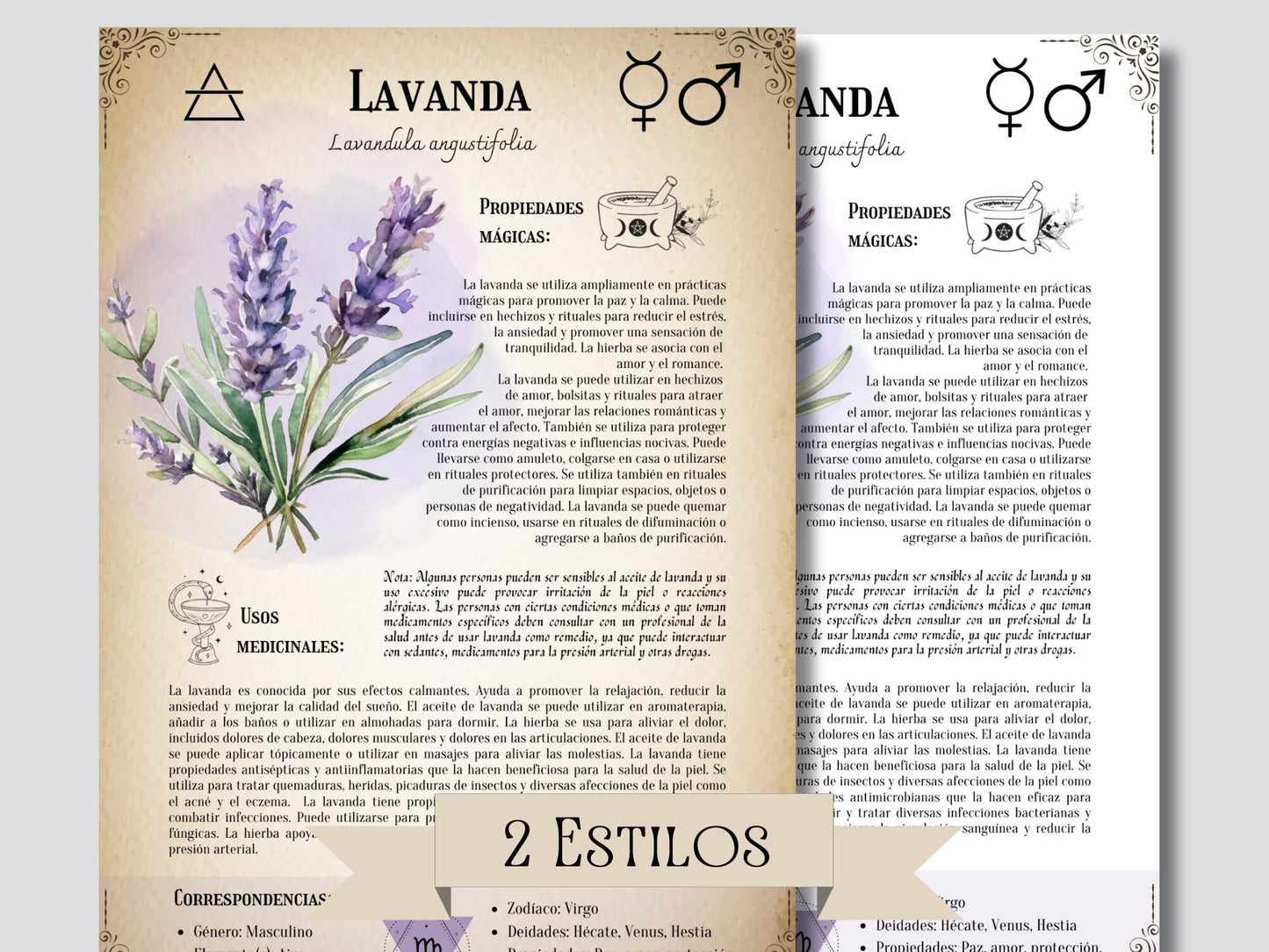 ESPAÑOL. La colección definitiva de hierbas medicinales: Grimorio imprimible, Libro de las sombras imprimible