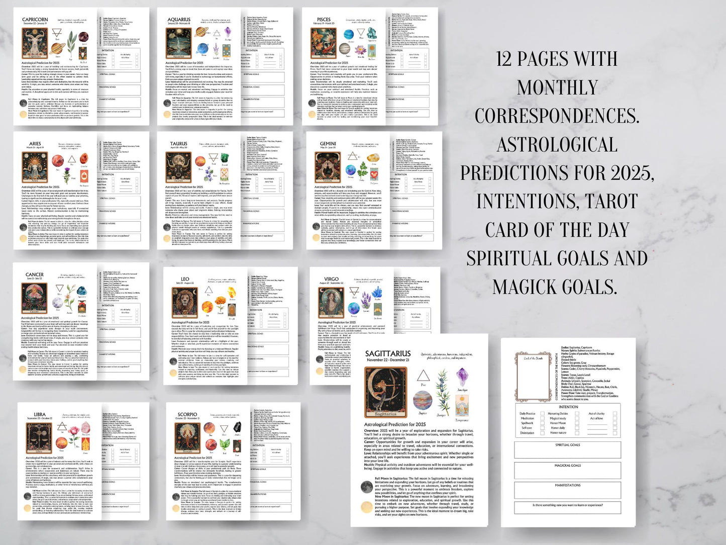 The Original 2025 Witches planner. Don't buy imitations. Monthly, Weekly, Daily, Moon Phases, Astrology, Habit Trackers & More! Printable
