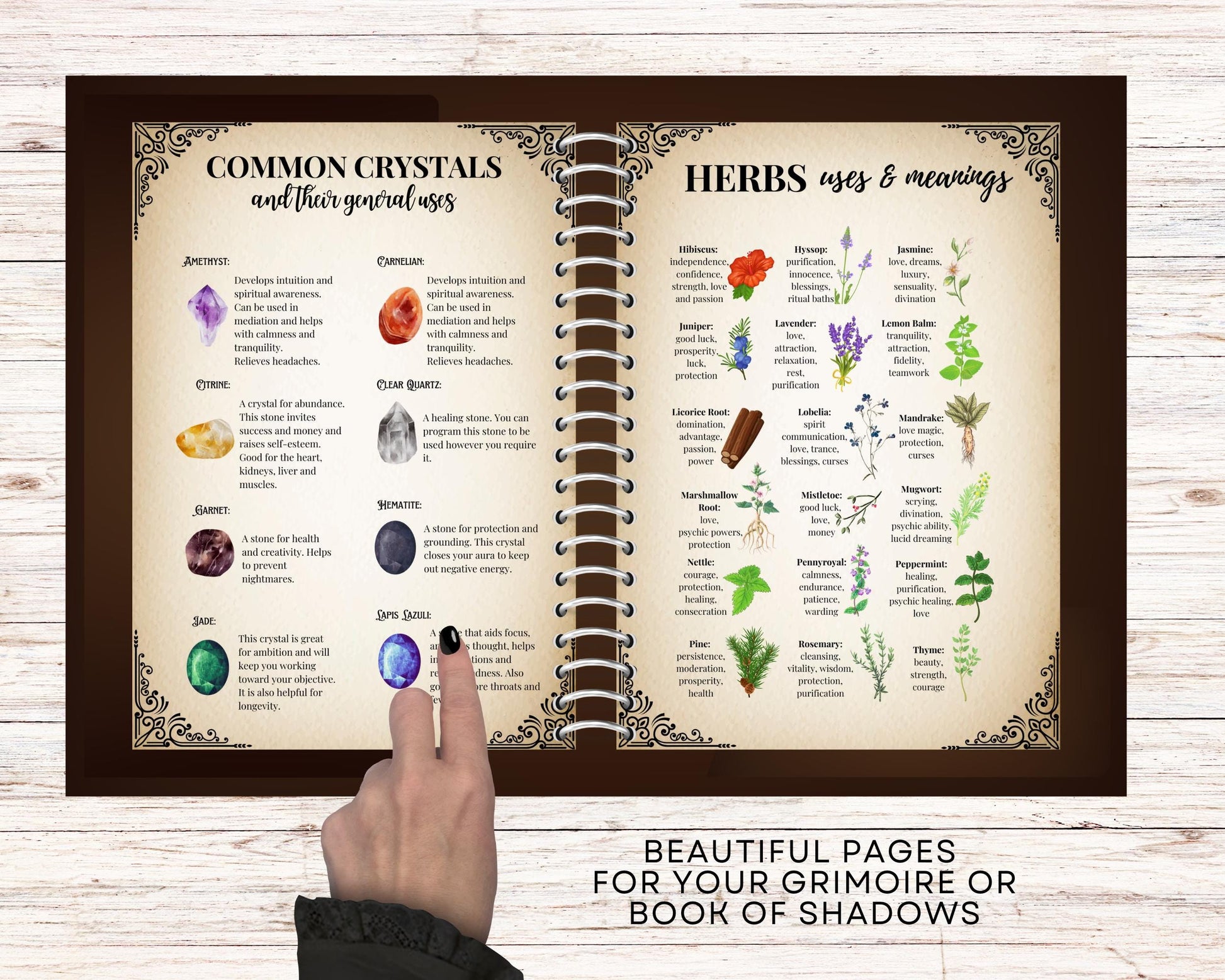 Baby Witch Bundle. Basics of Witchcraft. The most complete. Energy Work, Deities, Cleansing, Altars, Spells, and More! - Printable Pages