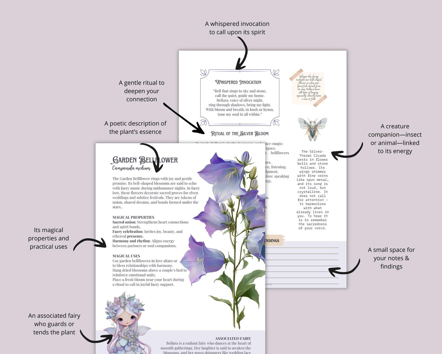 The Fairy Herbarium – Printable Botanical Grimoire Pages | Magical Plants, Fairies, Rituals & Invocations PDF.