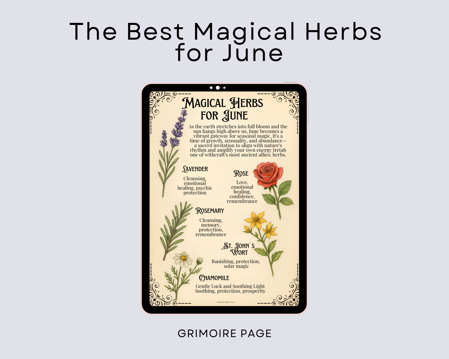 The Best Magical Herbs for June and How to Use Them