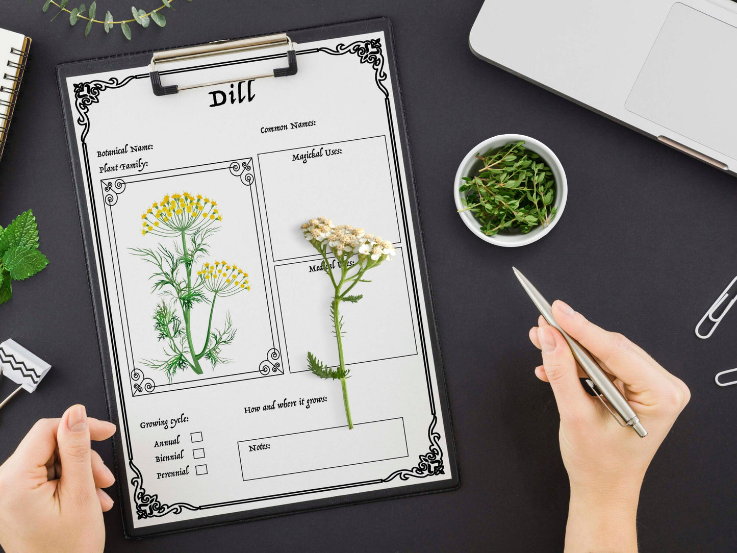 25 pages WITCH'S HERBAL Journal Planner