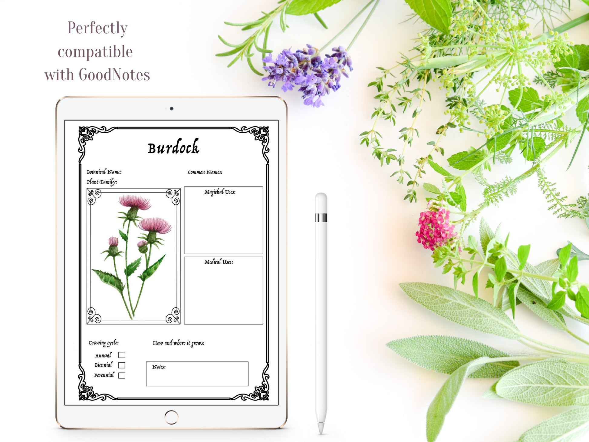 25 pages WITCH'S HERBAL Journal Planner