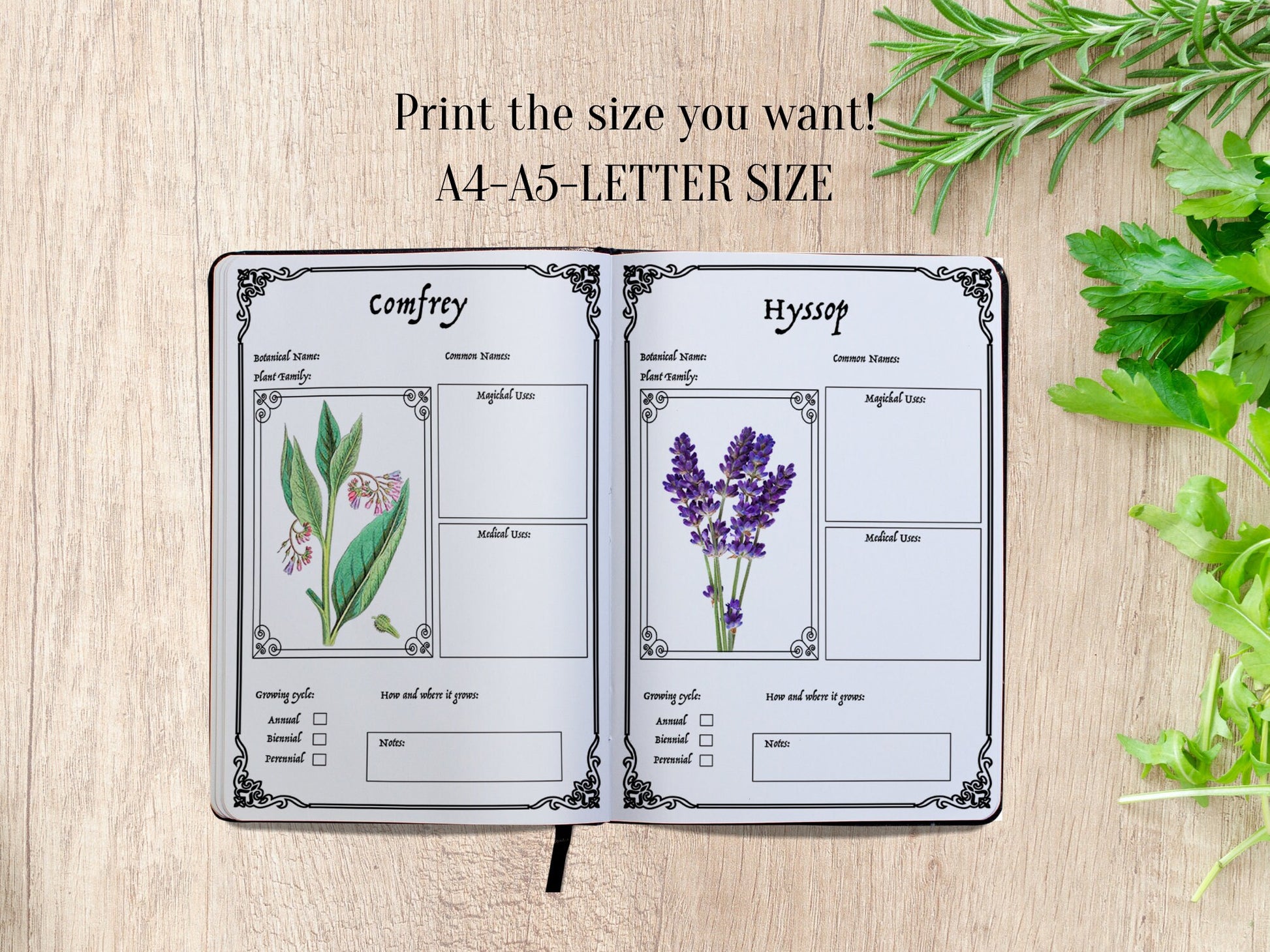 25 pages WITCH'S HERBAL Journal Planner