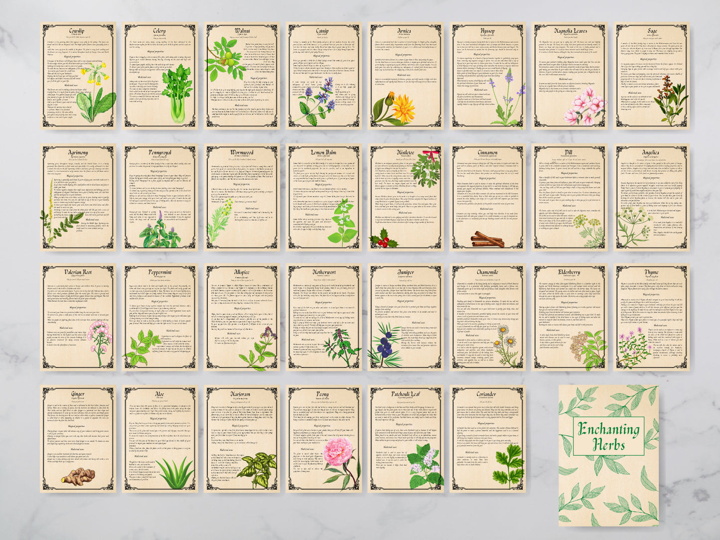 31 pages Herbal Magic Printable Grimoire Pages - Enchanting Herbs - Herbalism - Green Witch -Book of Shadows - herb journal
