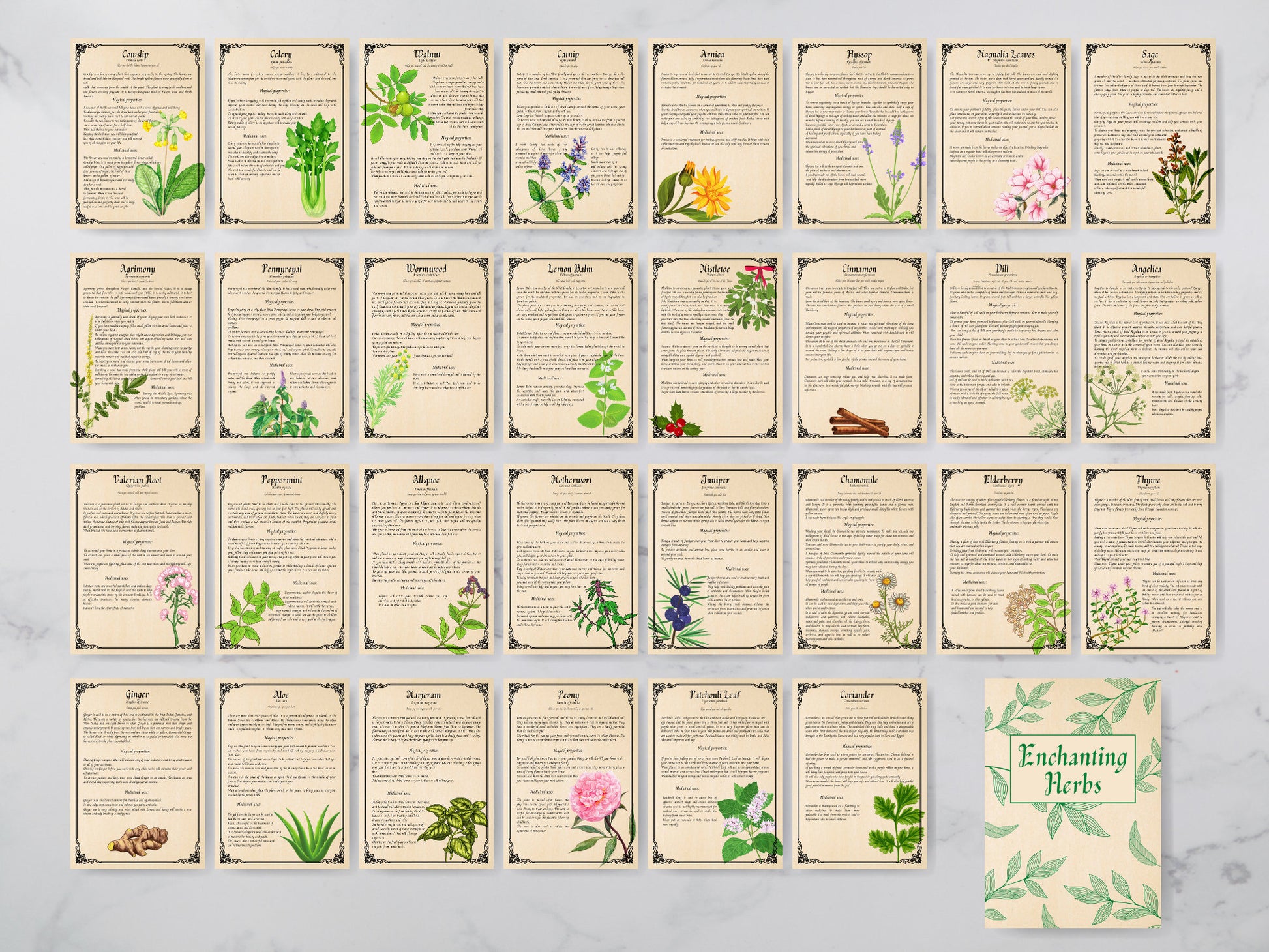 31 pages Herbal Magic Printable Grimoire Pages - Enchanting Herbs - Herbalism - Green Witch -Book of Shadows - herb journal
