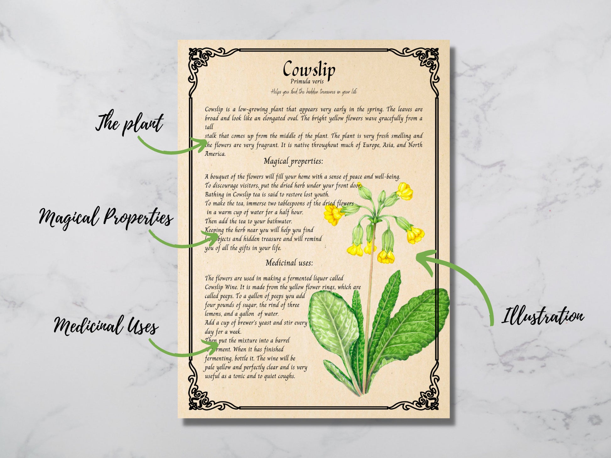 31 pages Herbal Magic Printable Grimoire Pages - Enchanting Herbs - Herbalism - Green Witch -Book of Shadows - herb journal