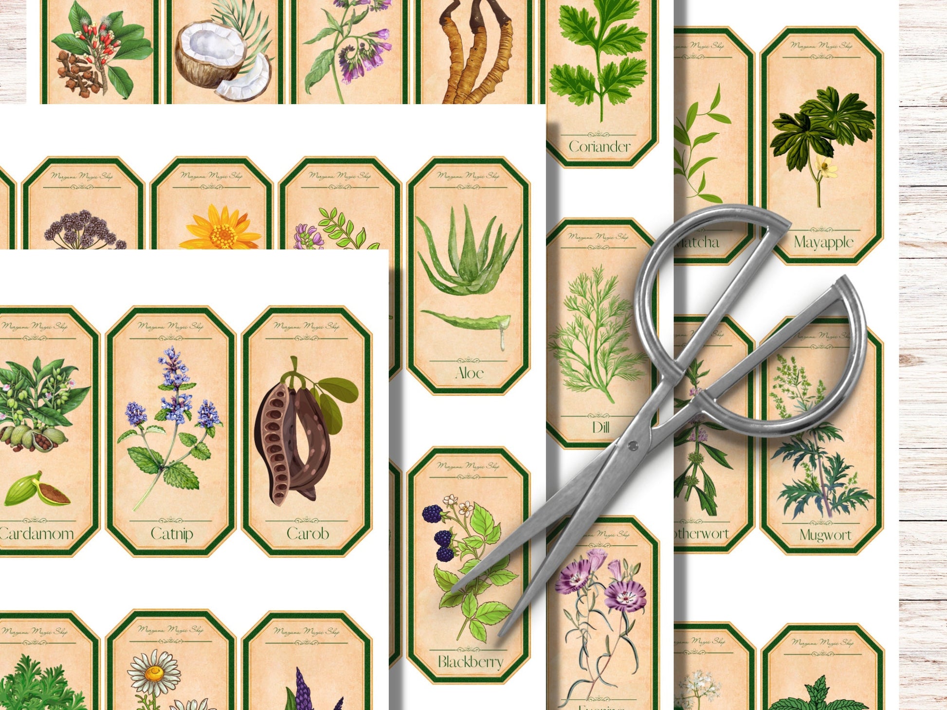 APOTHECARY LABELS Bundle, Digital Download Witchcraft Tags, Kitchen witchery, 145 Printable Labels, Witchcraft Wicca Labels