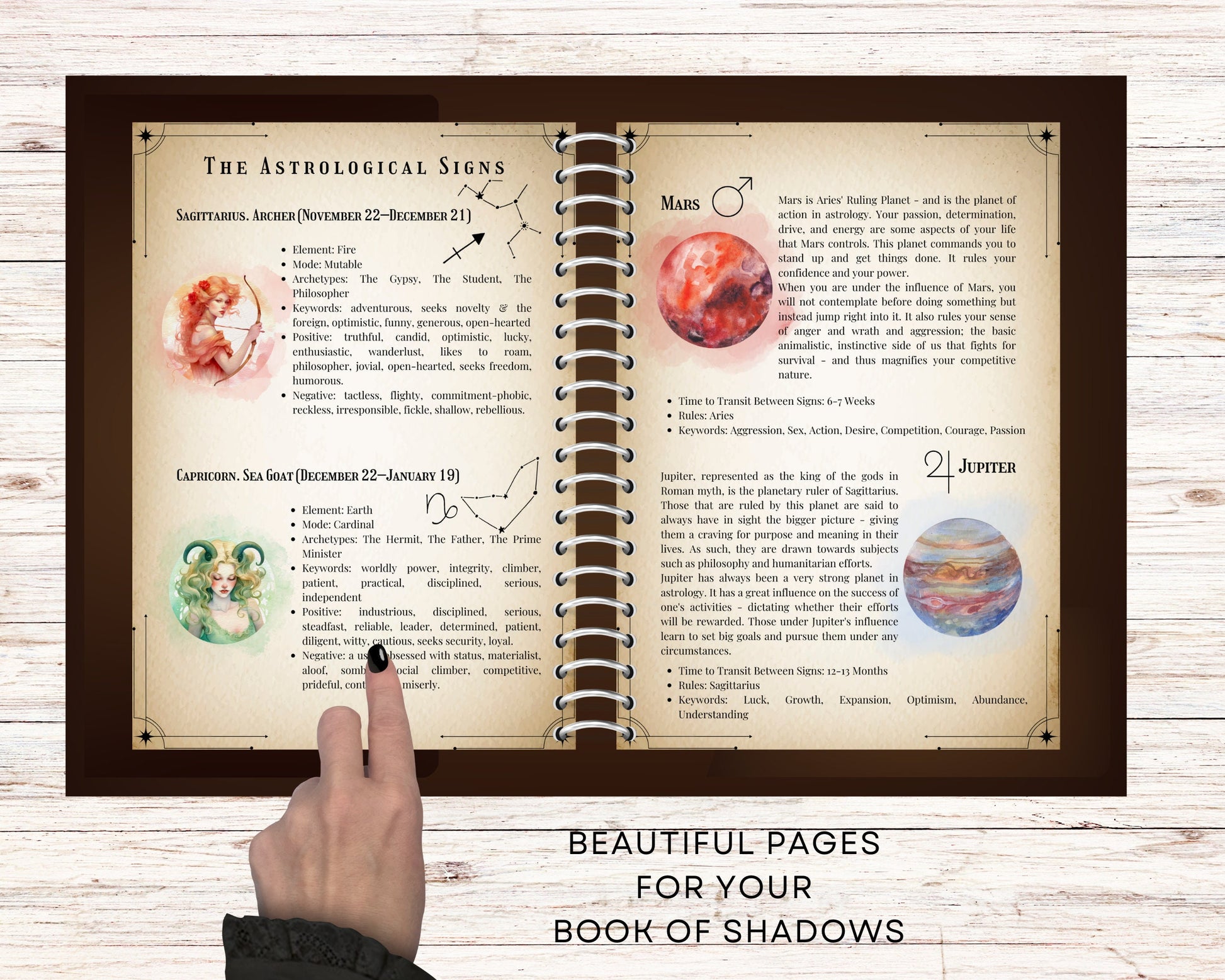 Basics of Astrology, Grimoire Pages, Grimoire Printables, Witch Printables, Book of Shadows Printables, Beginner Witch.