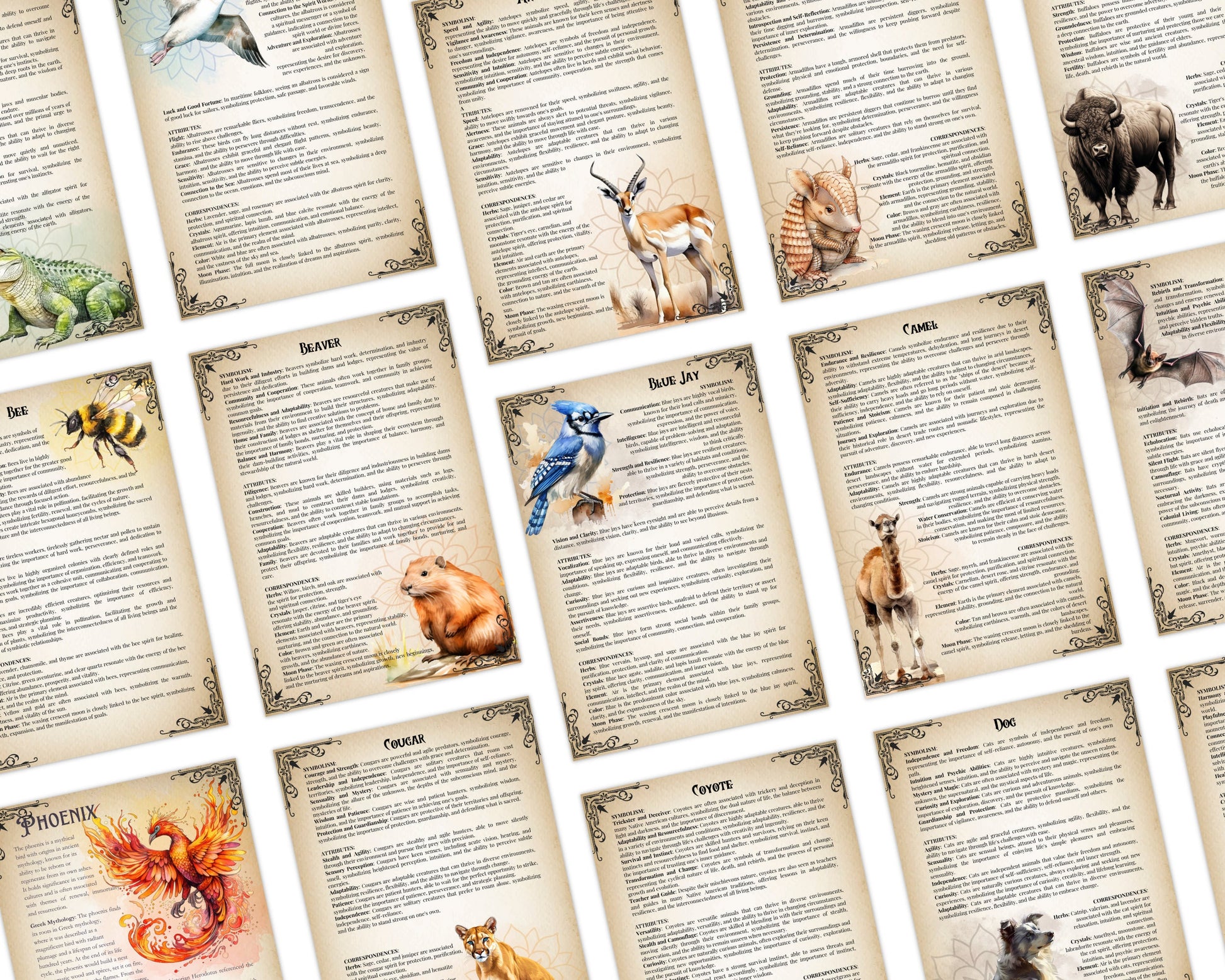 The Ultimate Guide To Spirit Animals. 72 pages. 62 animals. Beautiful grimoire pages. Printable.