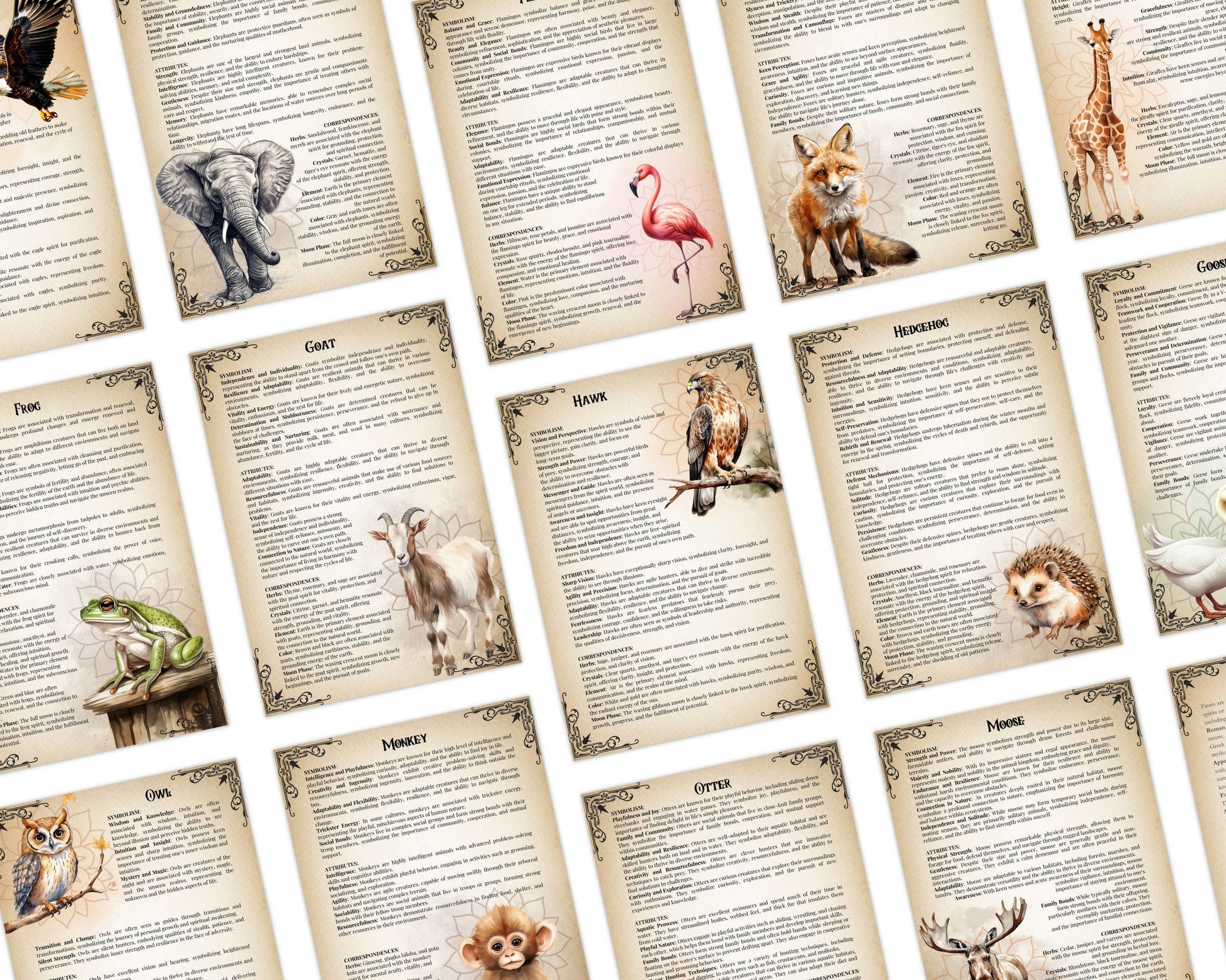 The Ultimate Guide To Spirit Animals. 72 pages. 62 animals. Beautiful grimoire pages. Printable.