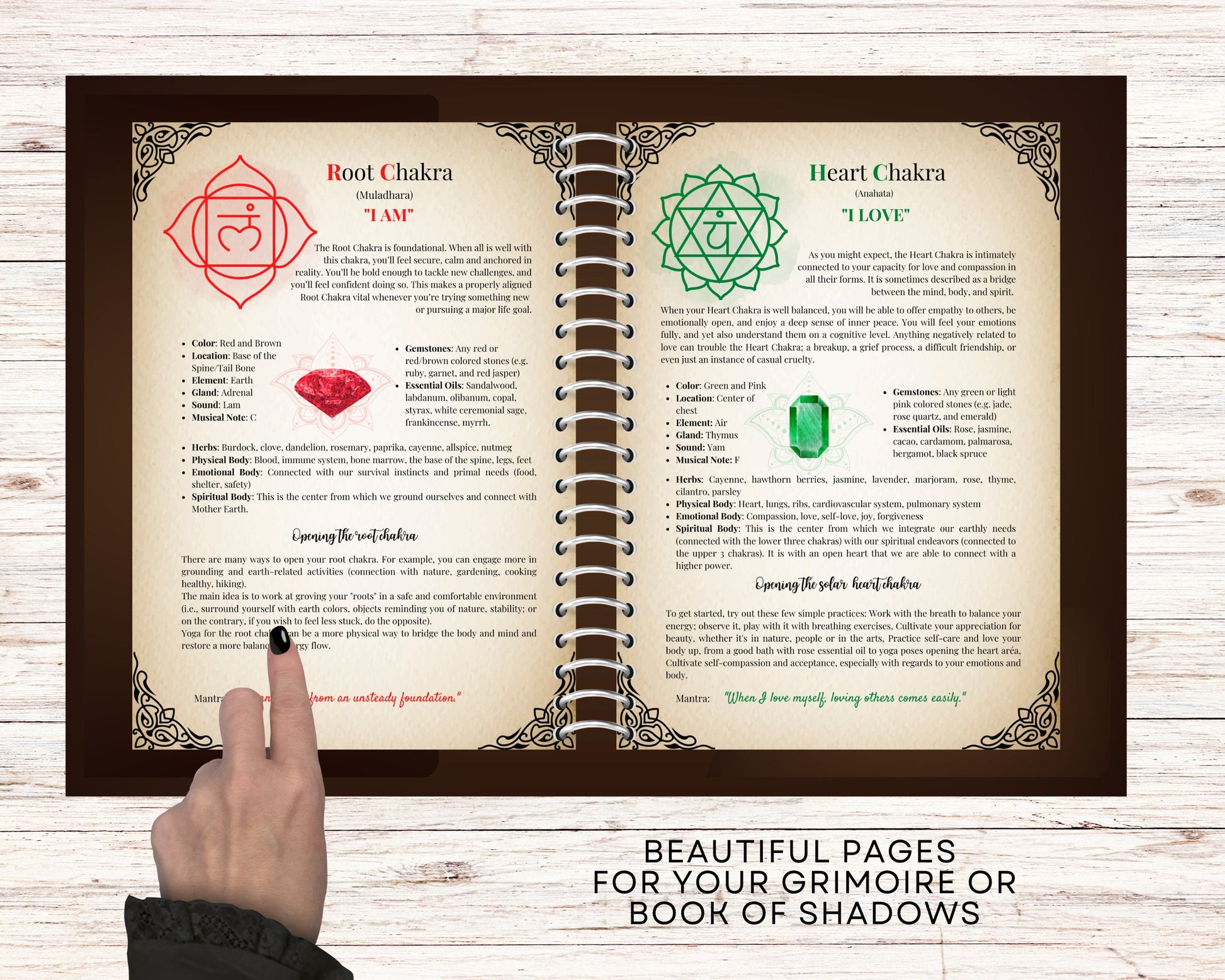 CHAKRAS. BEGINNERS GUIDE. Beautiful pages for your Grimoire or Book Of Shadows. Printable.