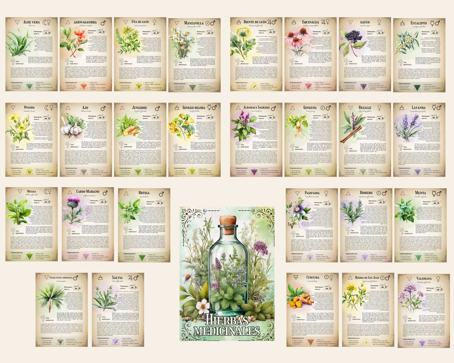 ESPAÑOL. La colección definitiva de hierbas medicinales: Grimorio imprimible, Libro de las sombras imprimible