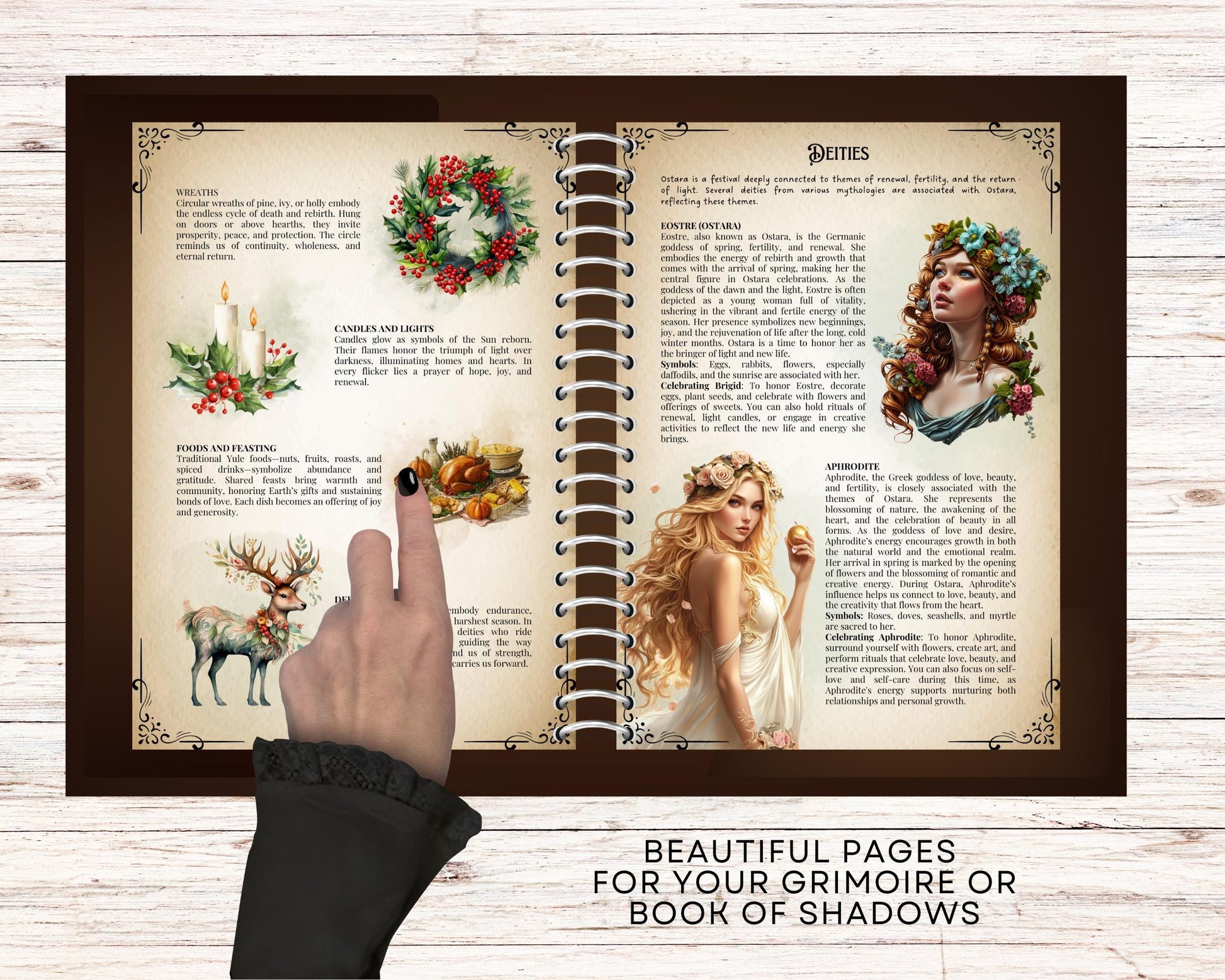 Sabbats Guide Collection | Wheel of the Year Printable PDF | Wiccan Book of Shadows Pages | Pagan Festivals Grimoire Set