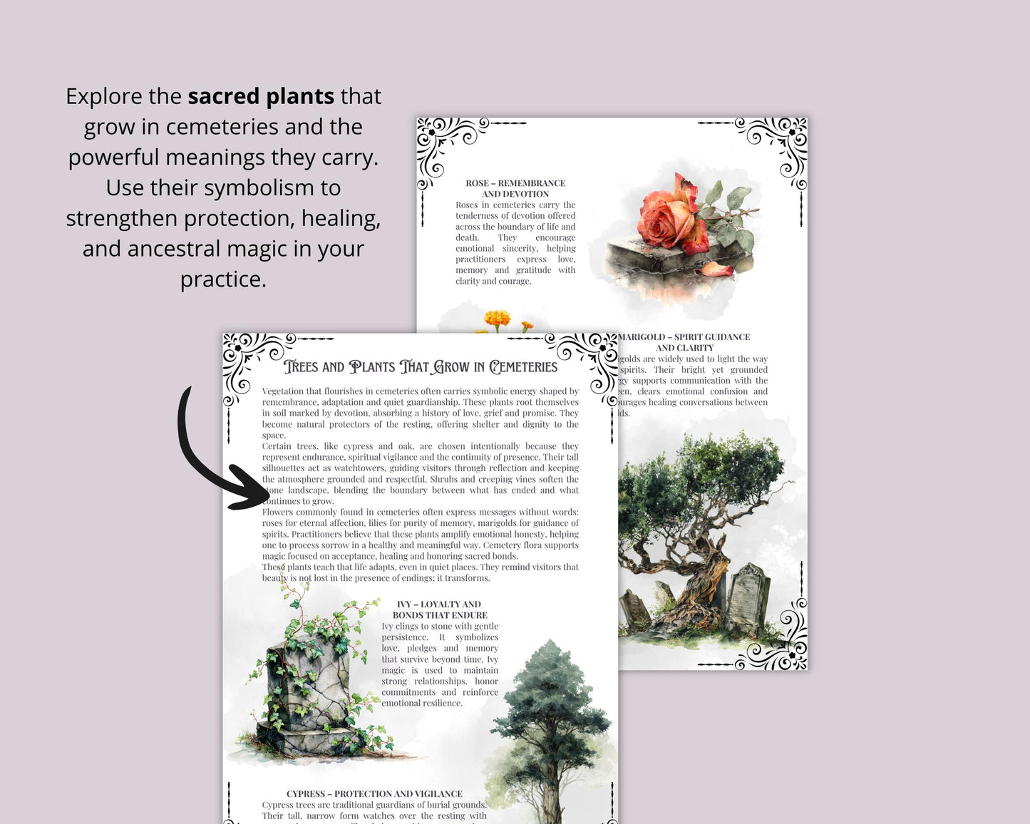 Graveyard Magick Printable Pages | Witchcraft Grimoire | Cemetery Magic Book of Shadows | Pagan Printable