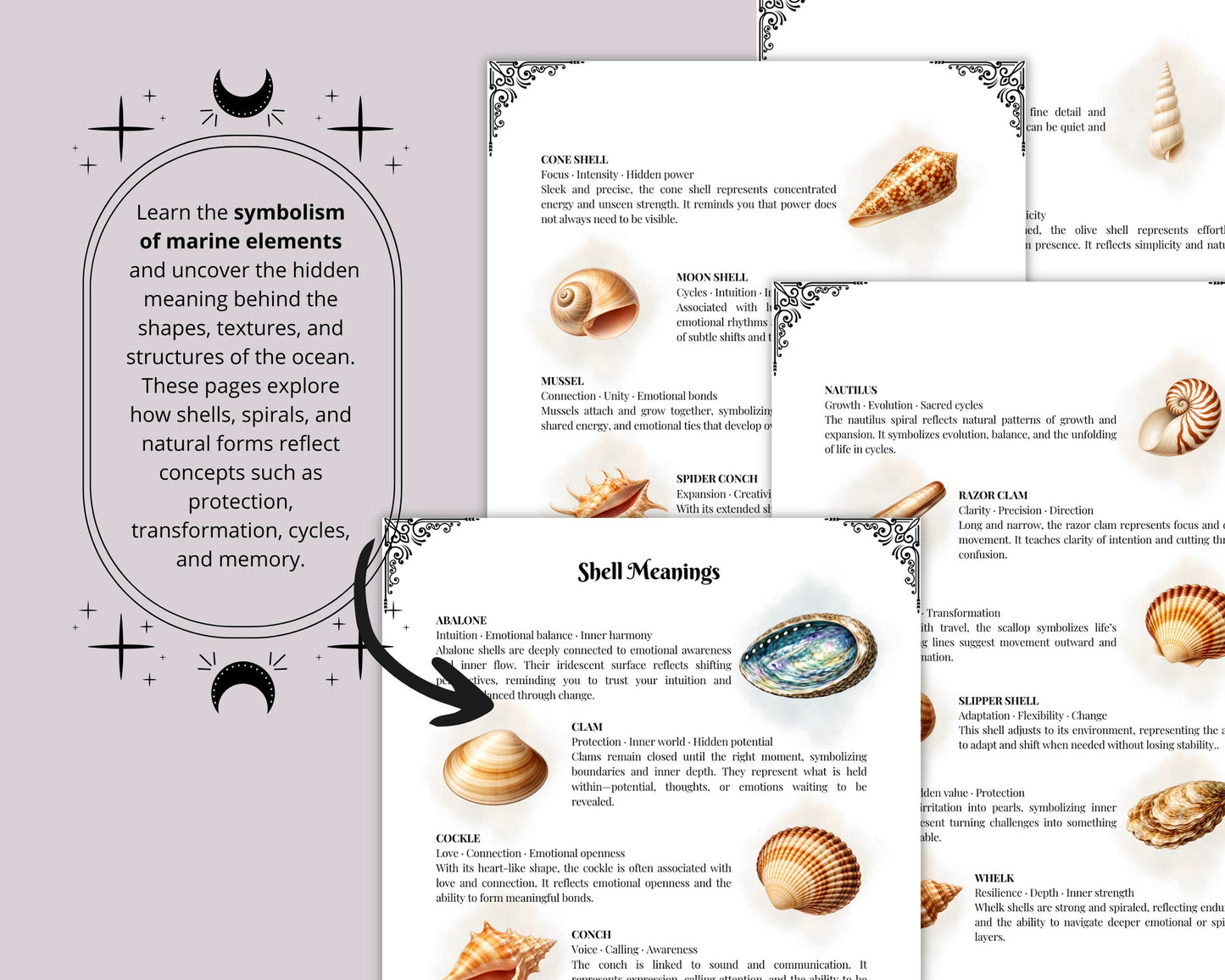 Sea Witch Grimoire Printable, Ocean Witchcraft Book, Sea Magic Rituals, Book of Shadows