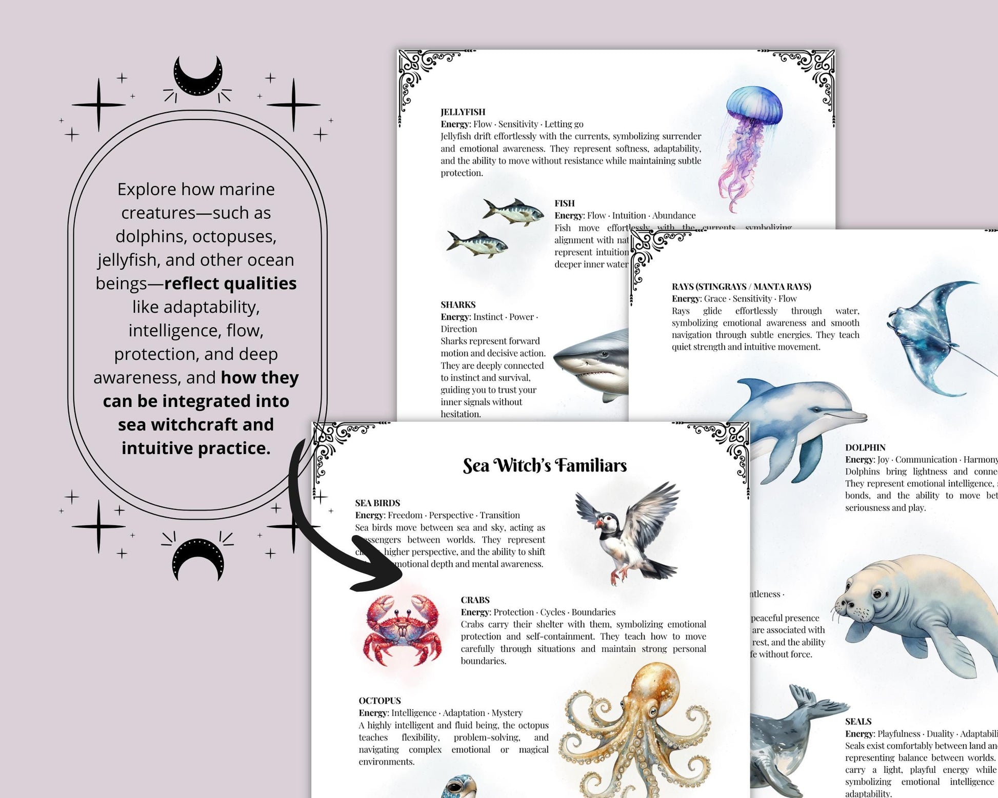 Sea Witch Grimoire Printable, Ocean Witchcraft Book, Sea Magic Rituals, Book of Shadows