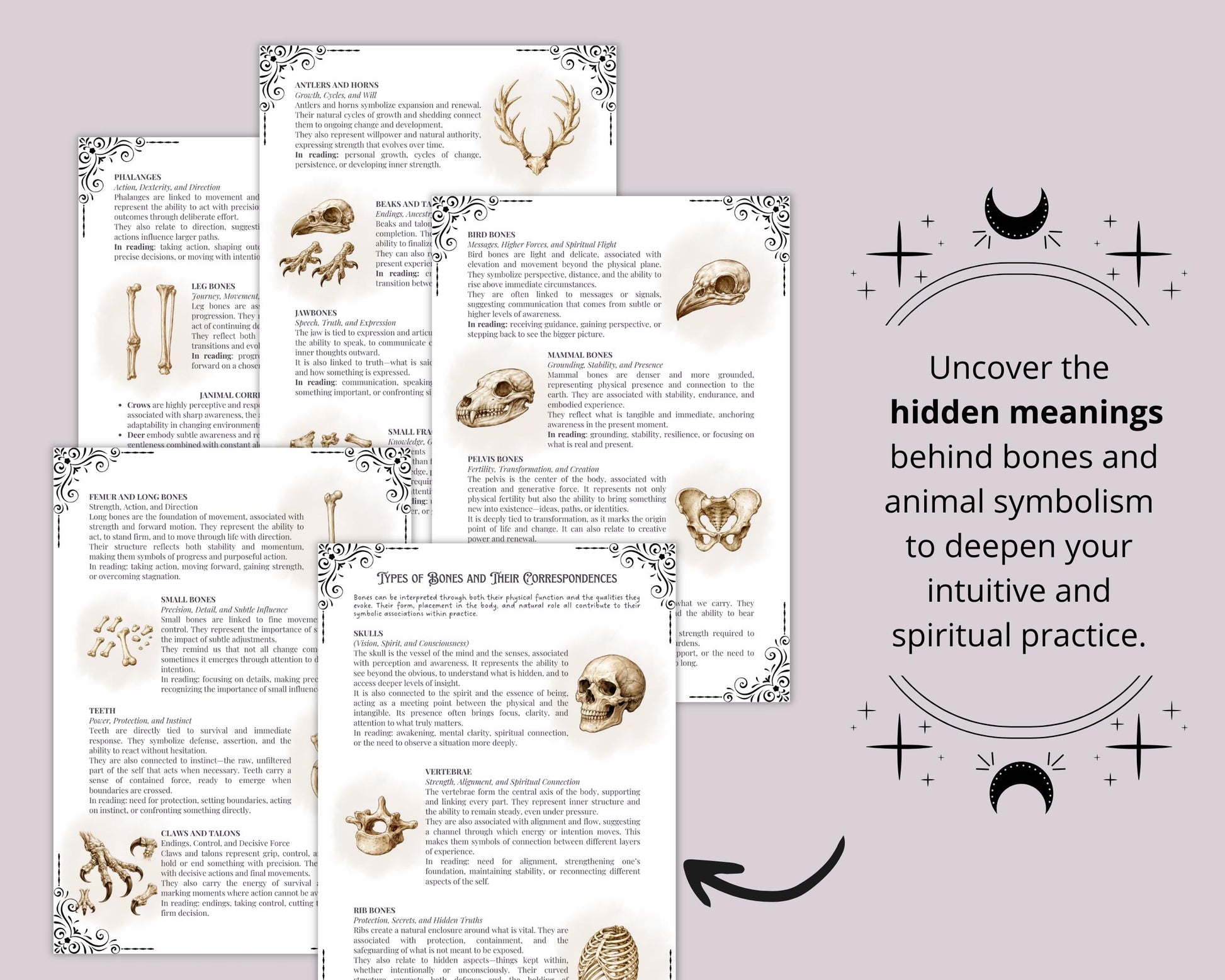Bone Magick Grimoire Pages | Dark Academia Witchcraft Journal | Osteomancy Ritual | Printable