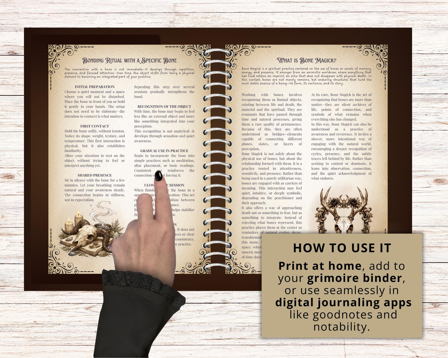 Bone Magick Grimoire Pages | Dark Academia Witchcraft Journal | Osteomancy Ritual | Printable