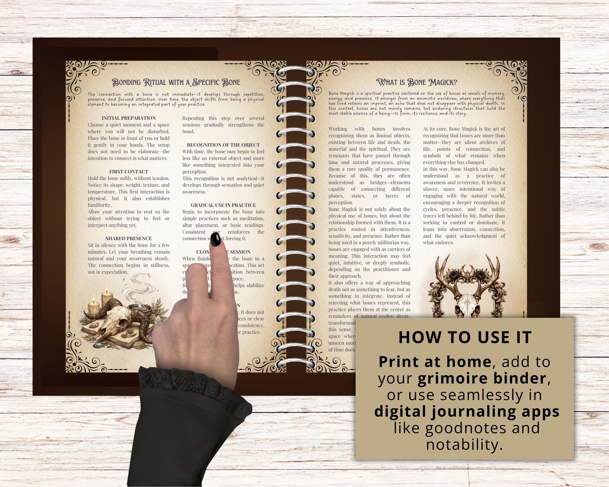 Bone Magick Grimoire Pages | Dark Academia Witchcraft Journal | Osteomancy Ritual | Printable