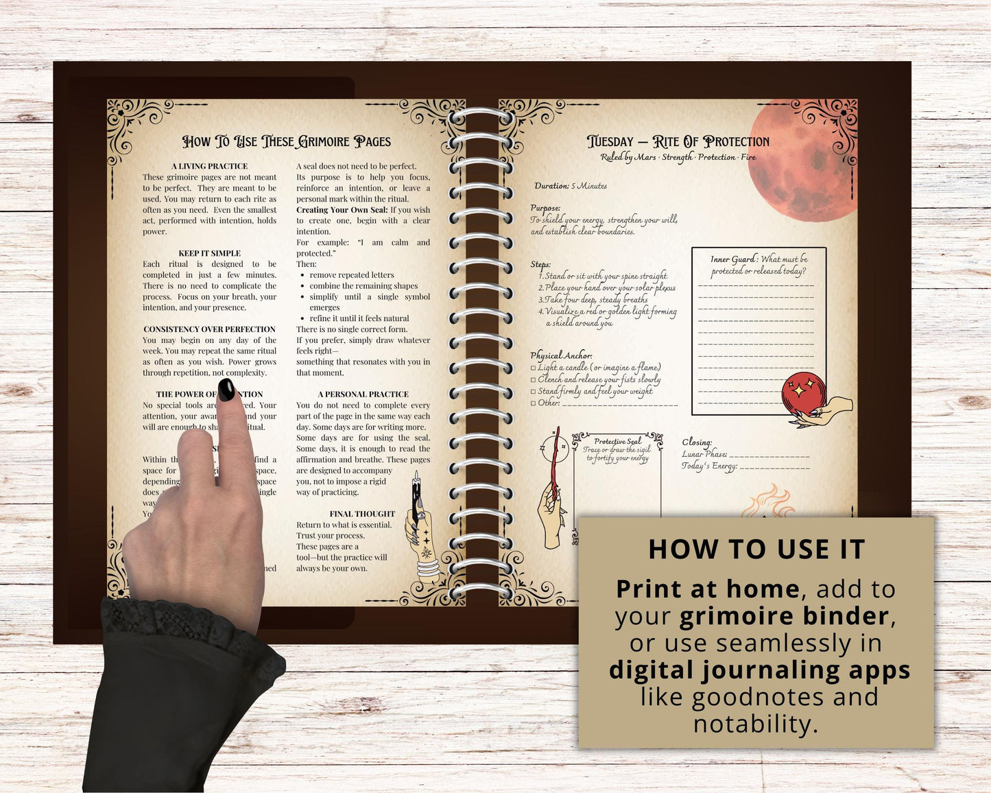 Printable Grimoire Pages Daily Rituals | Witch Journal PDF | 7 Day Magic Routine