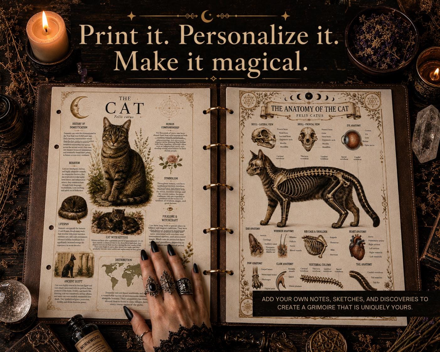 Witch Familiar Grimoire | Victorian Anatomy of Sacred Animals | Animal Symbolism & Anatomy | Book of Shadows Insert | Witchcraft Journal