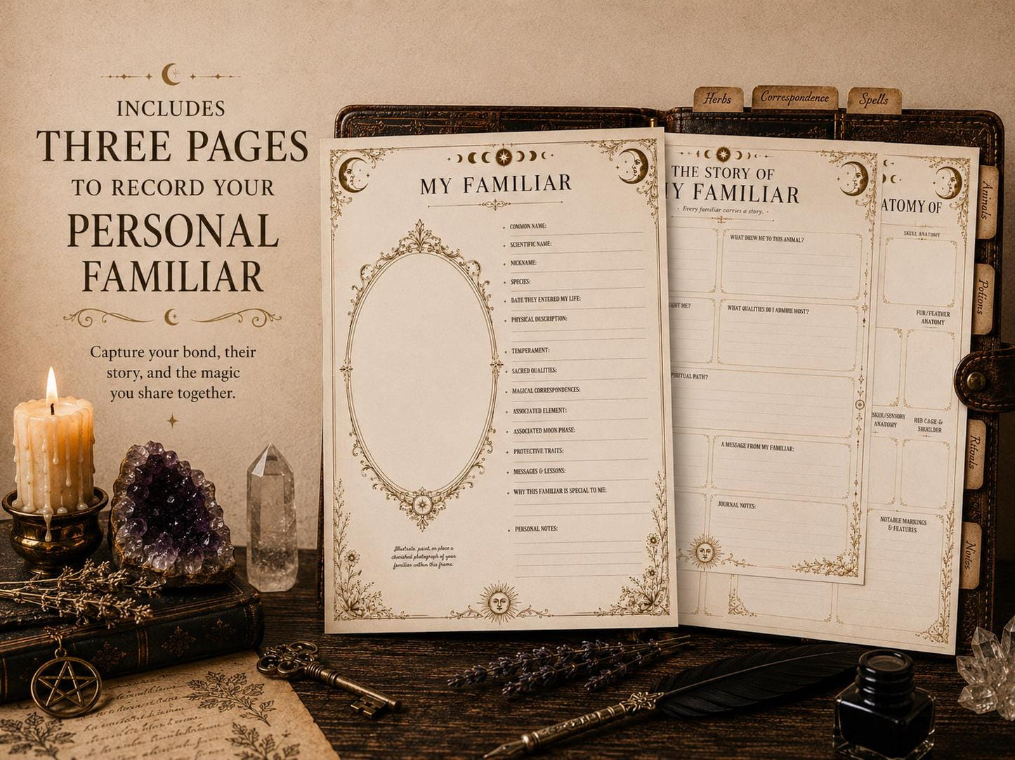 Witch Familiar Grimoire | Victorian Anatomy of Sacred Animals | Animal Symbolism & Anatomy | Book of Shadows Insert | Witchcraft Journal