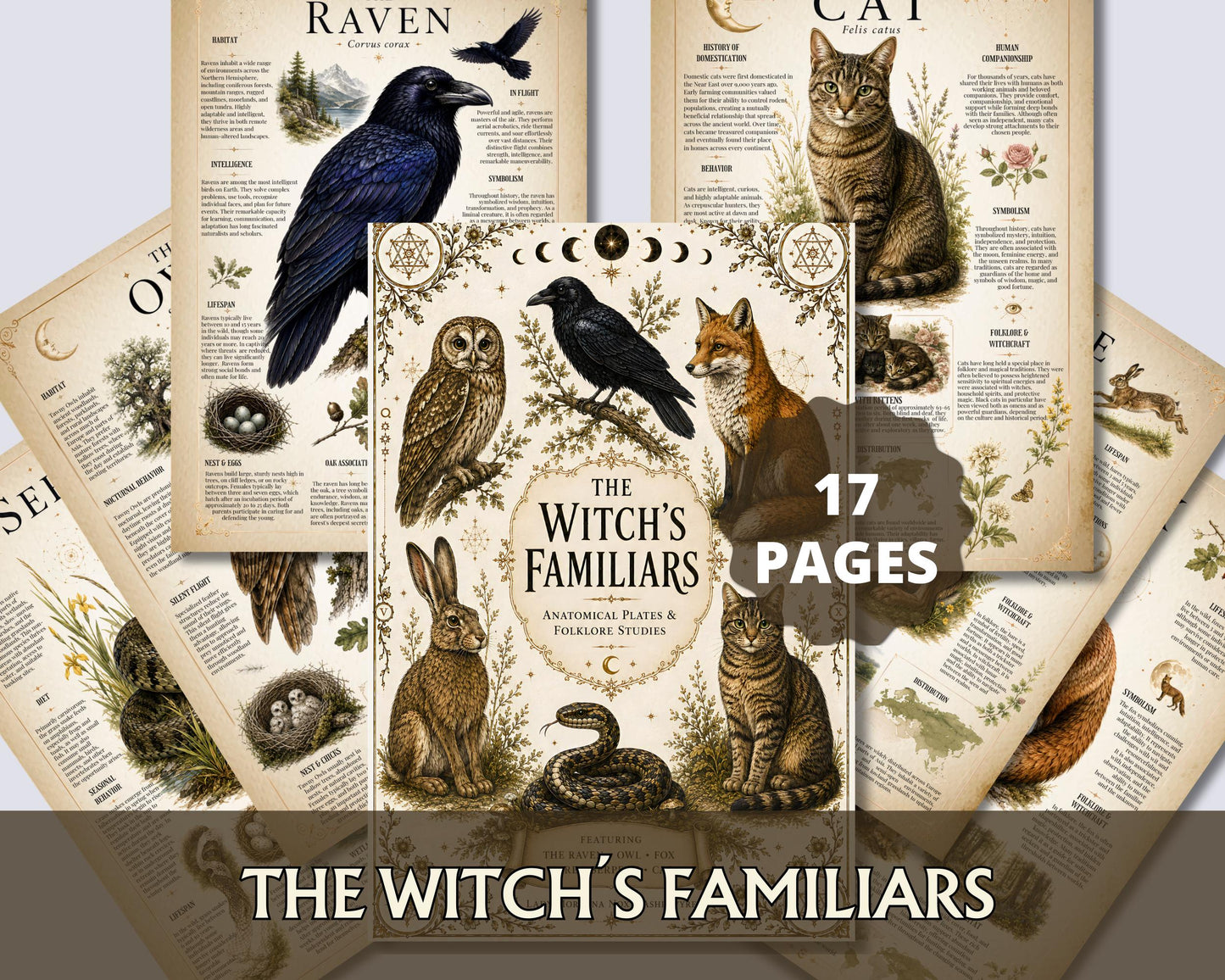 Witch Familiar Grimoire | Victorian Anatomy of Sacred Animals | Animal Symbolism & Anatomy | Book of Shadows Insert | Witchcraft Journal