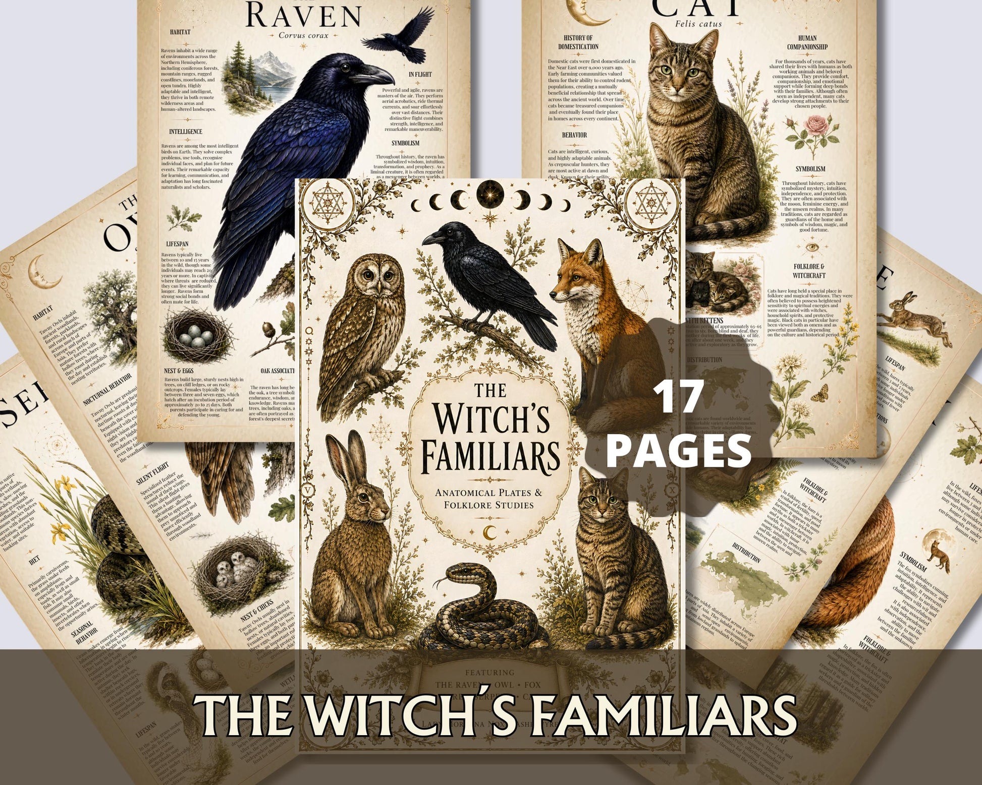 Witch Familiar Grimoire | Victorian Anatomy of Sacred Animals | Animal Symbolism & Anatomy | Book of Shadows Insert | Witchcraft Journal