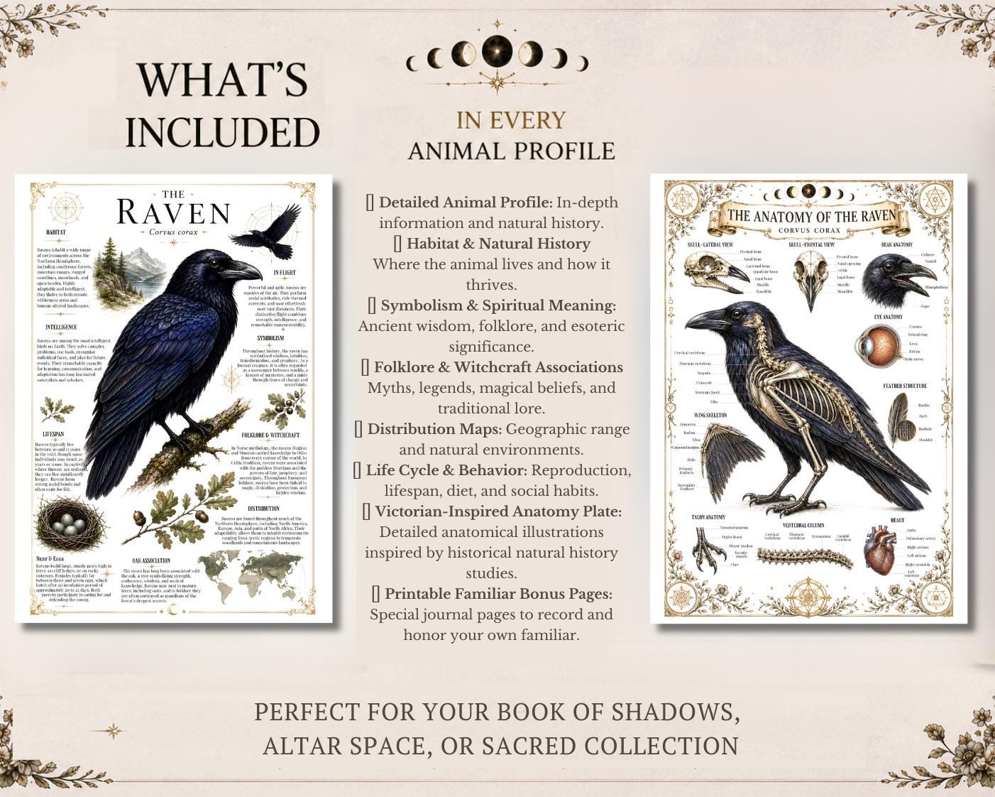 Witch Familiar Grimoire | Victorian Anatomy of Sacred Animals | Animal Symbolism & Anatomy | Book of Shadows Insert | Witchcraft Journal