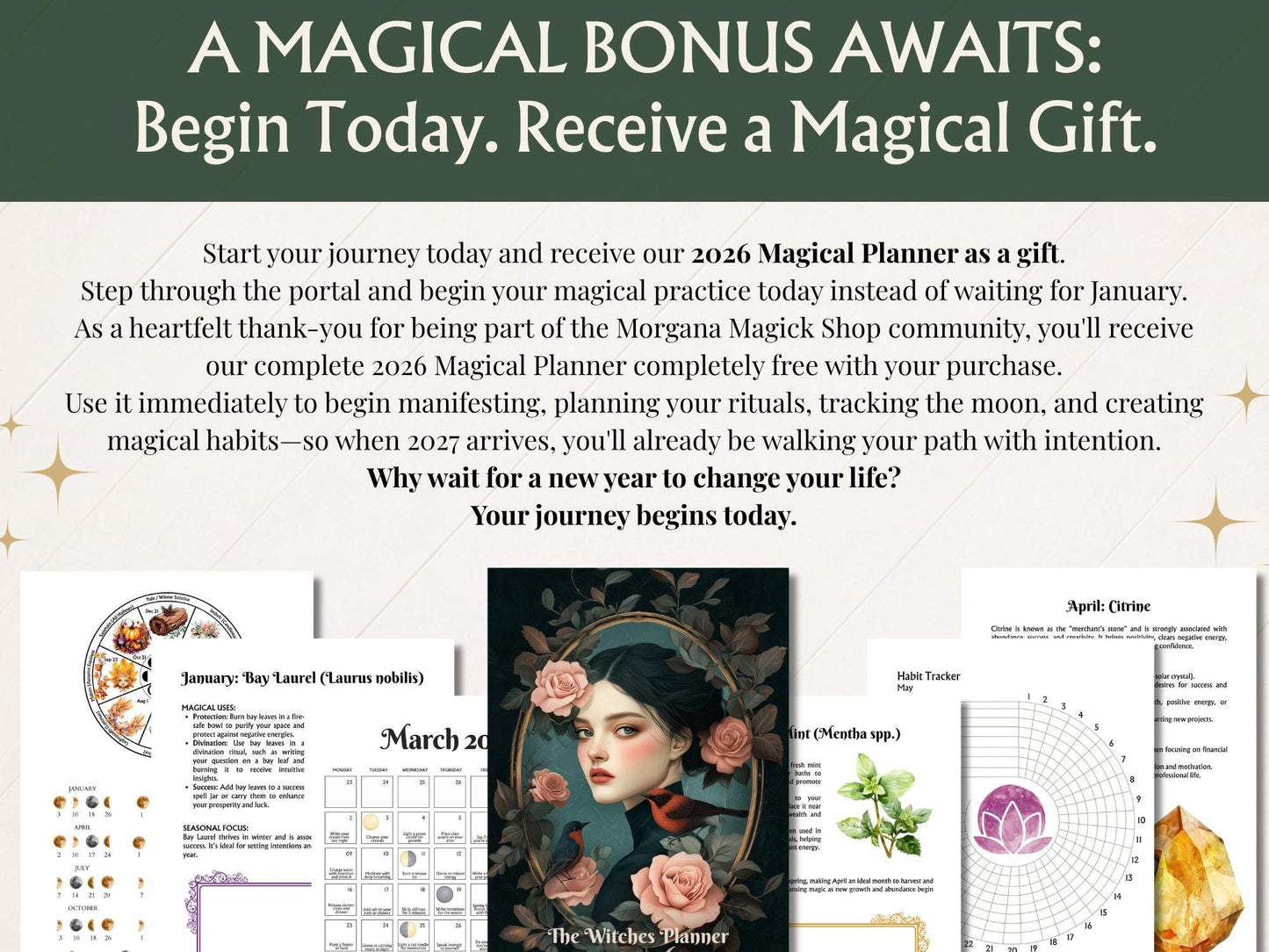 2027 Witch Planner | Manifestation Witch Planner | Hyperlinked Digital Planner, Moon Phases, Goddesses, Tarot, Astrology & Habit Trackers