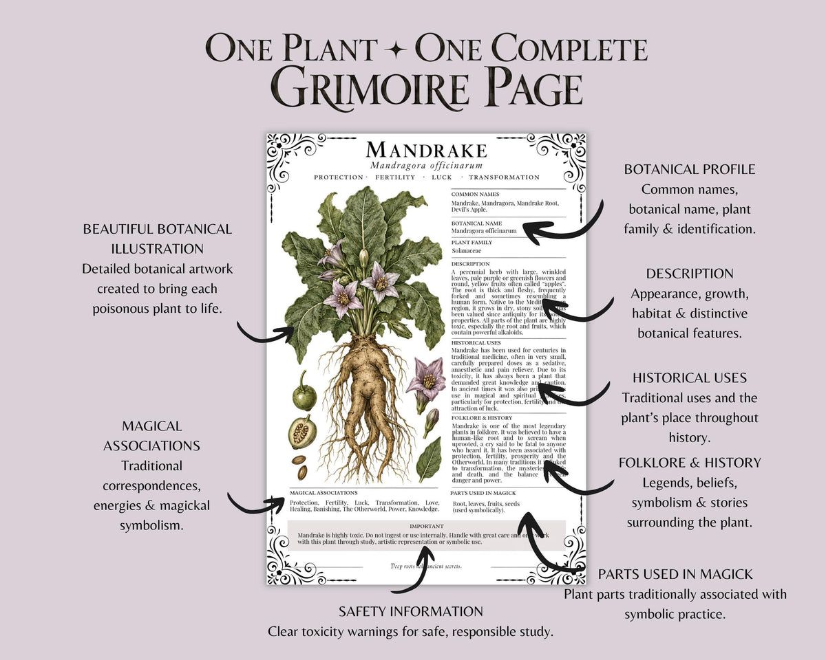 Poison Garden Grimoire Pages, Witchcraft Botanical Printable, Book of Shadows