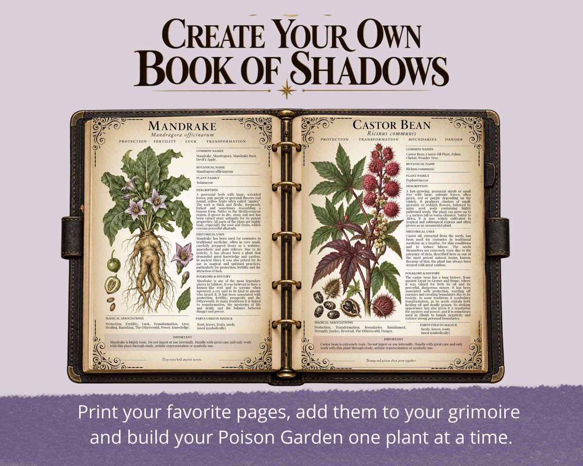 Poison Garden Grimoire Pages, Witchcraft Botanical Printable, Book of Shadows