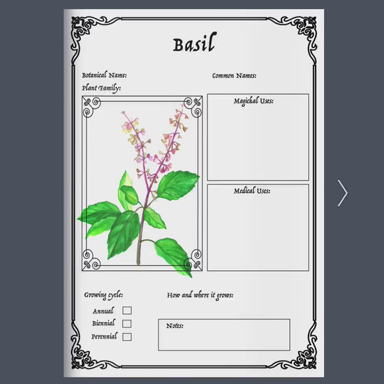 25 pages WITCH'S HERBAL Journal Planner